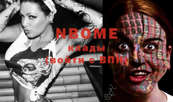 jwh Новозыбков