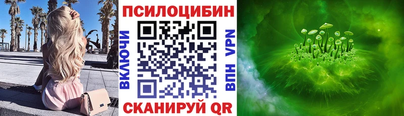 Псилоцибиновые грибы Psilocybine cubensis  магазин продажи   Кропоткин 